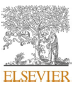 Elsevier