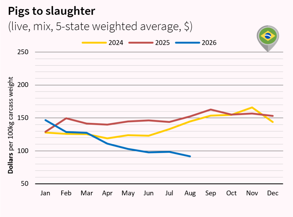 Pork meat market outlook july and august 2026 Brazil dollar