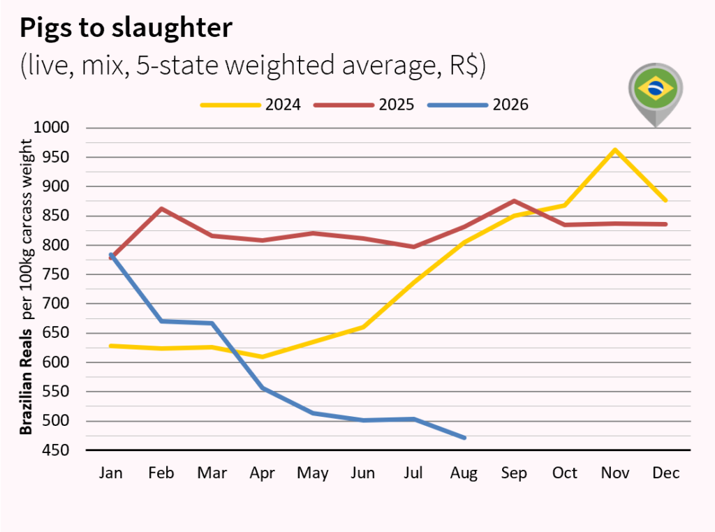 Pork meat market outlook july and august 2026 Brazil RS