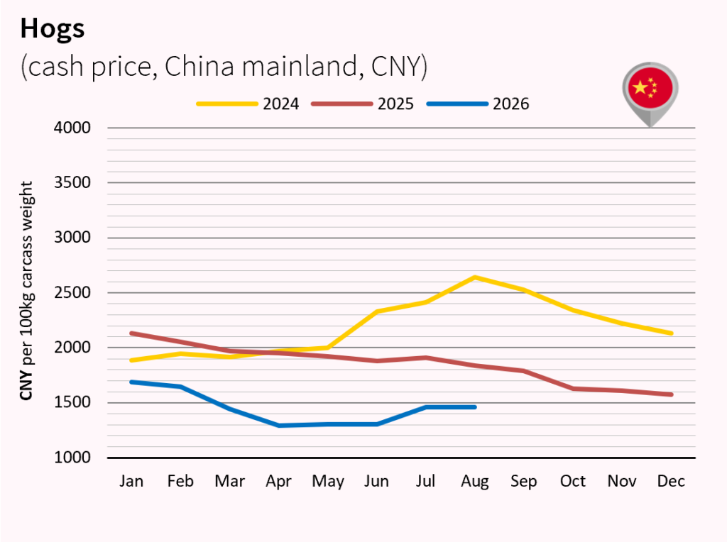 Pork meat market outlook july and august 2026 China CNY