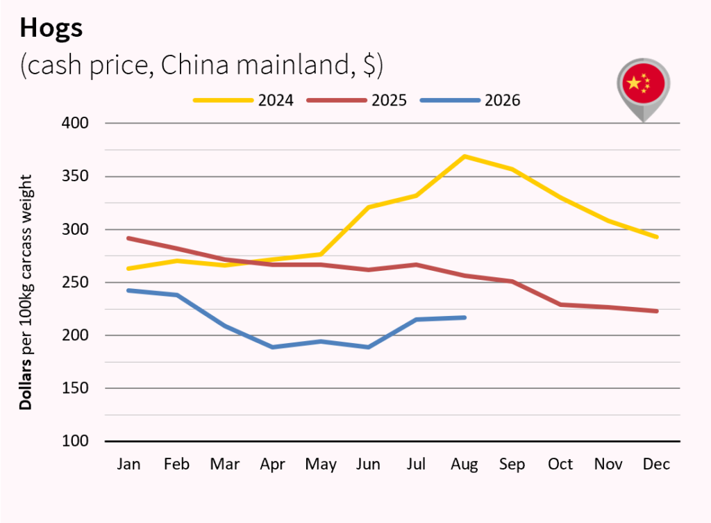 Pork meat market outlook july and august 2026 China dollar