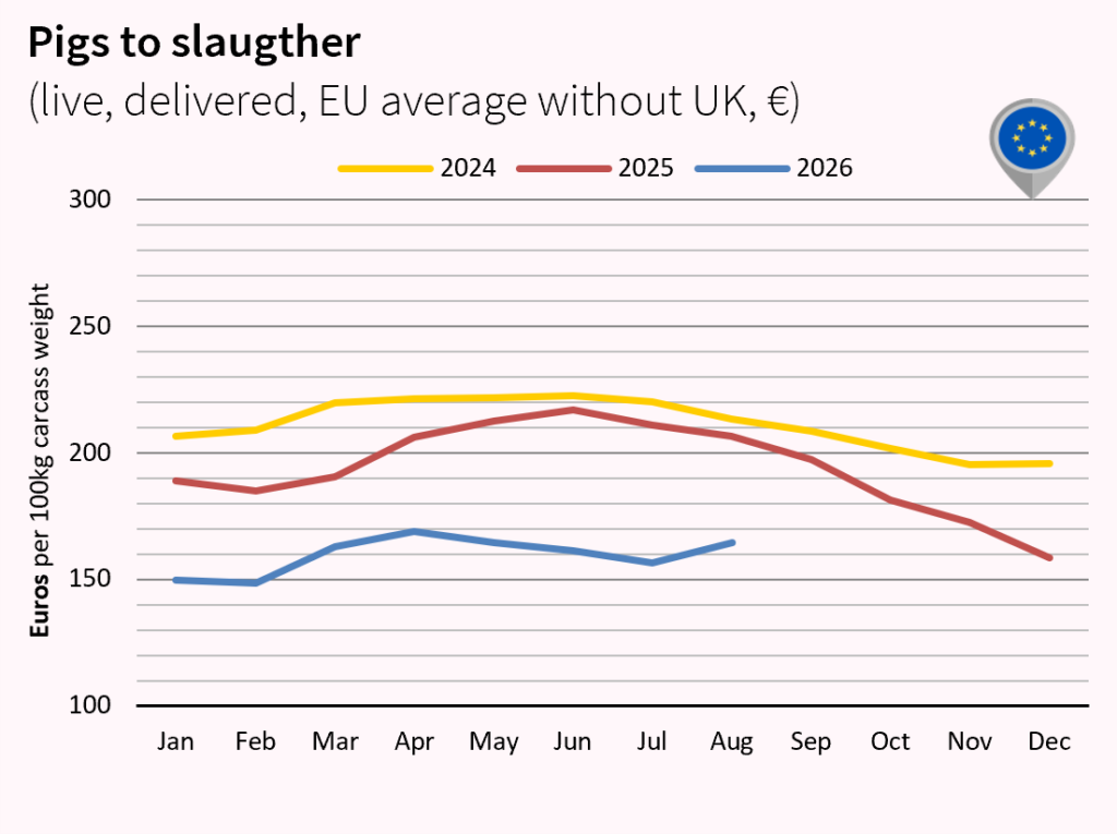 Pork meat market outlook july and august 2026 Europe euro