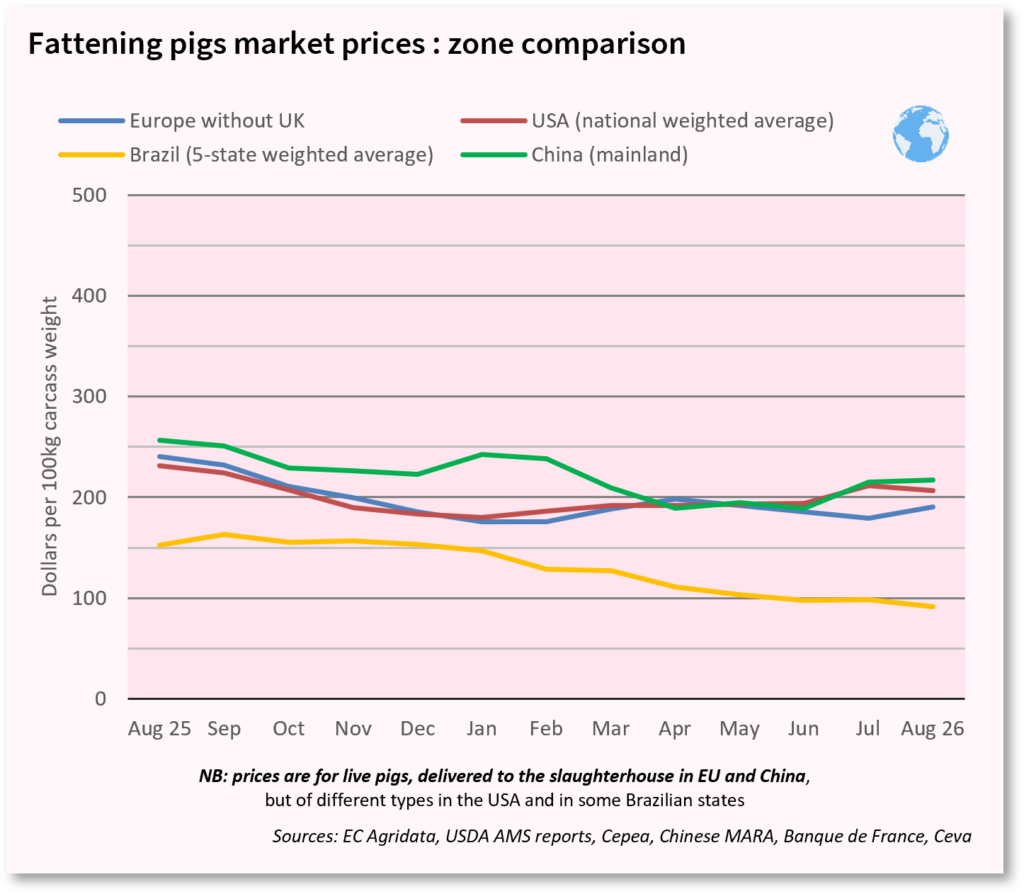 Pork meat market outlook july and august 2026 global