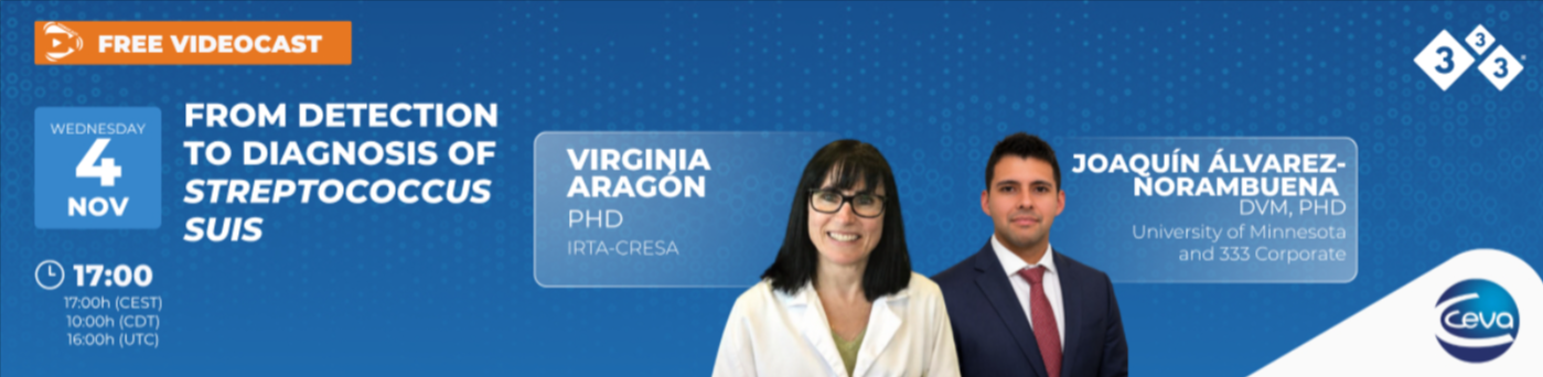 Streptococcus suis diagnosis: Ceva videocast